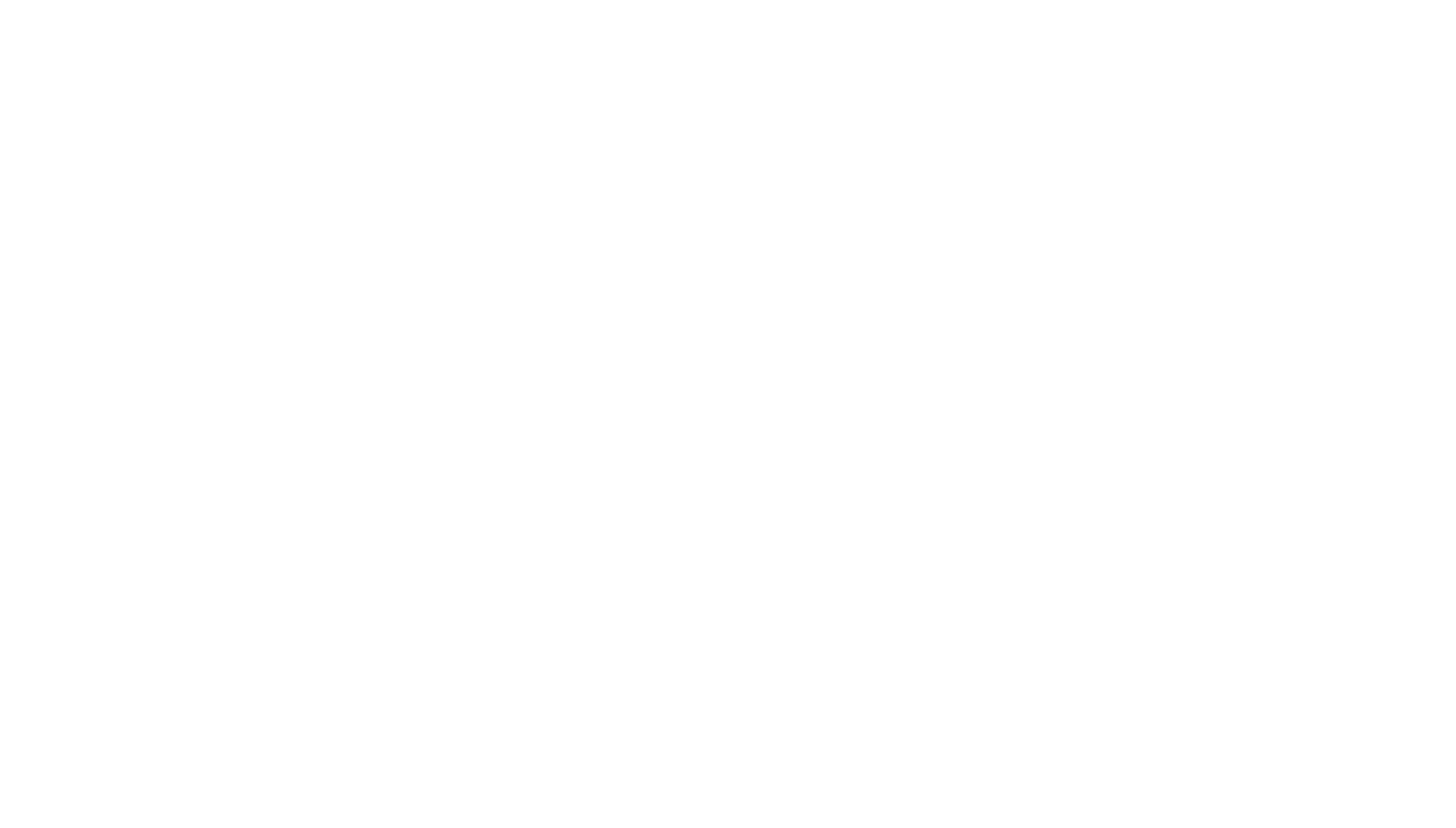 Logo_CARNE_RGB.png